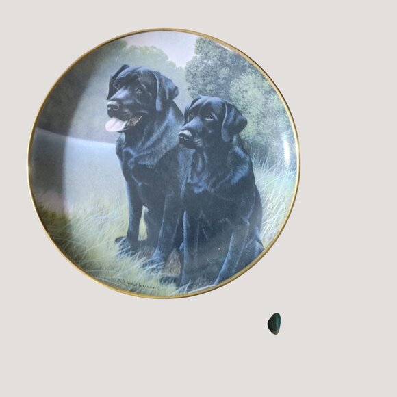 Labrador Retriever Collectible Franklin Mint Decorative Plates Set Of 5 - Picture 3 of 14
